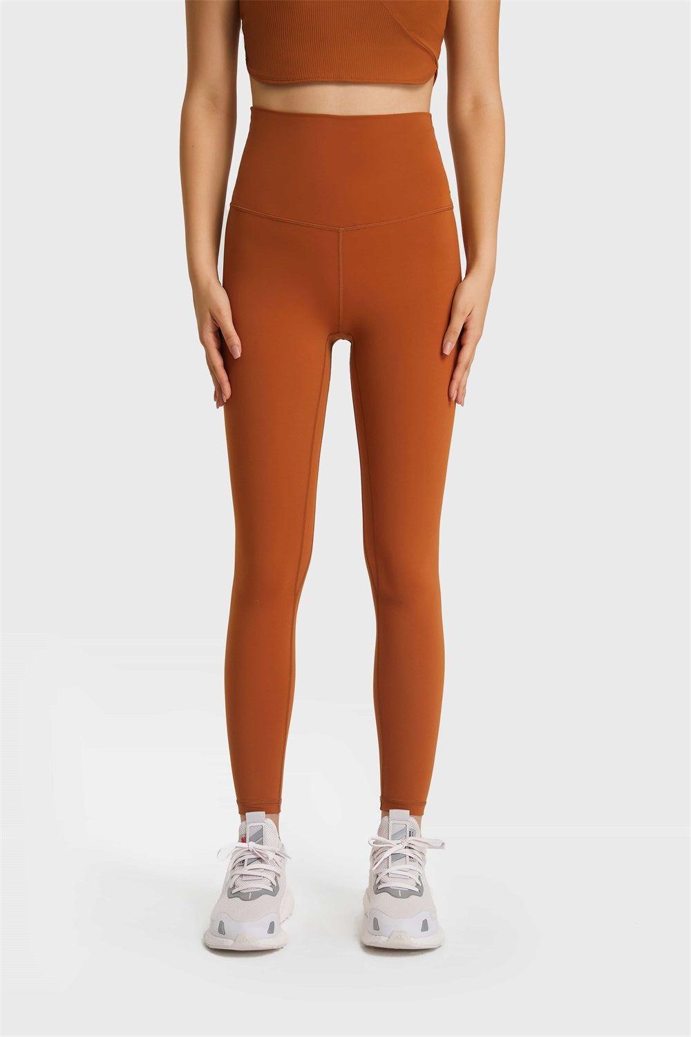 Brown / 3XL