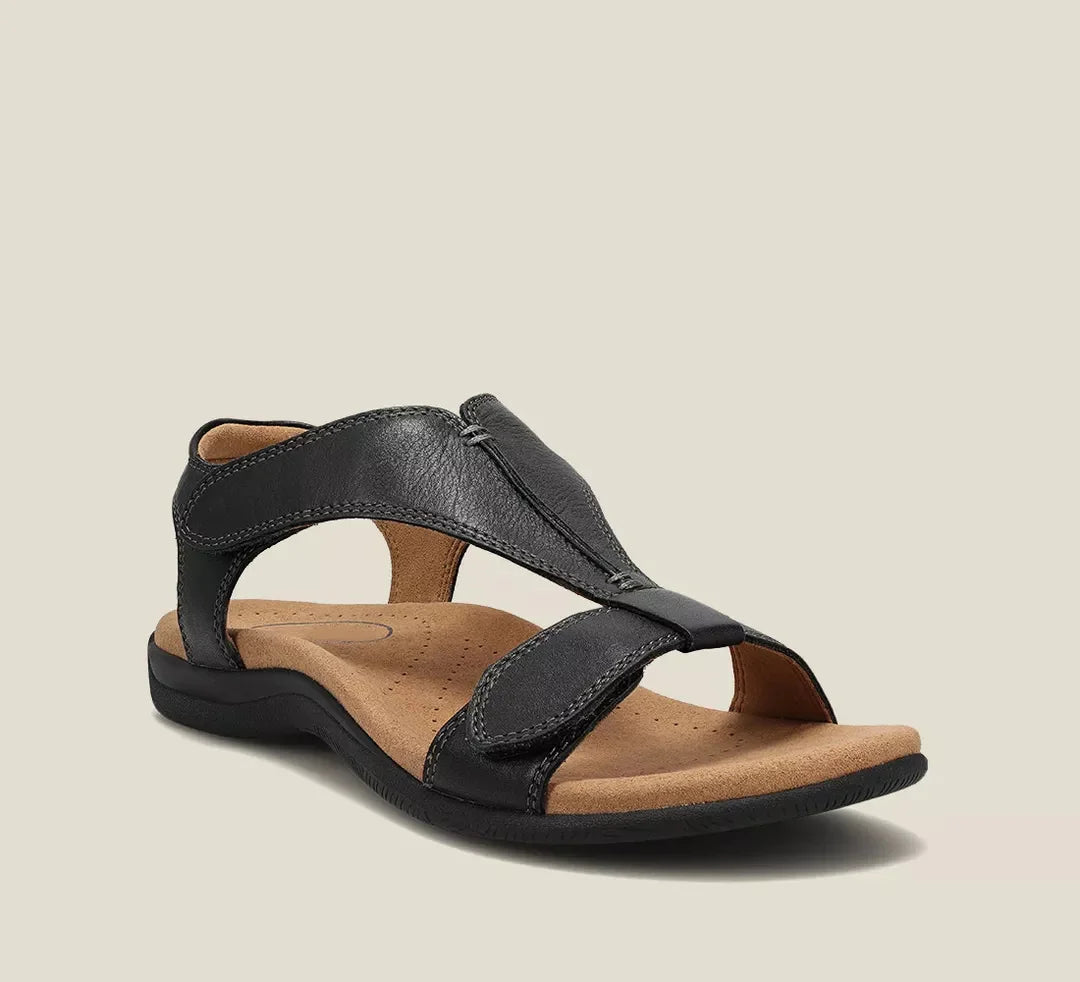 Navy Blue / 4