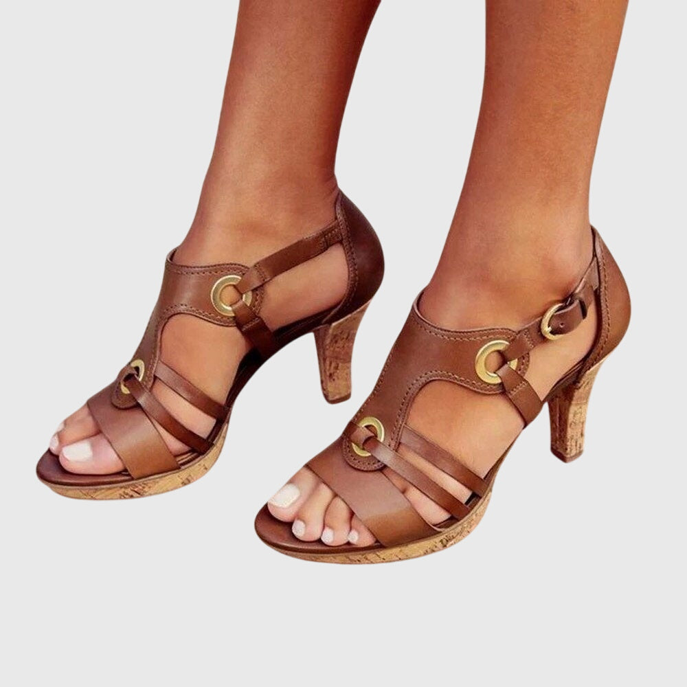 Brown Terra / 6