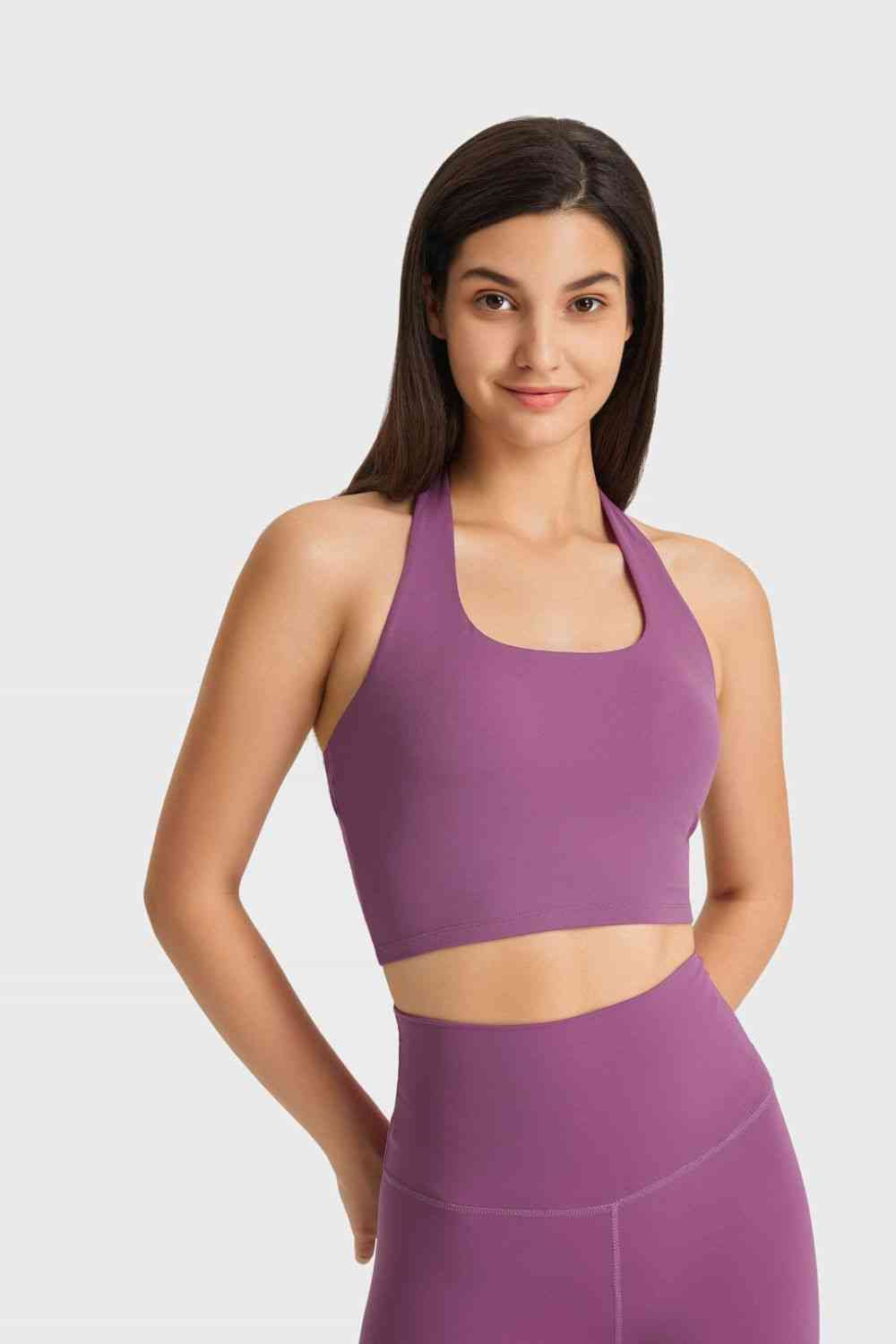 Purple / 3XL