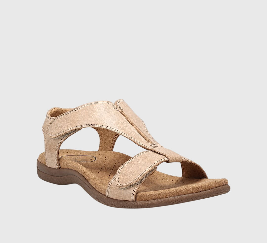 Beige / 5