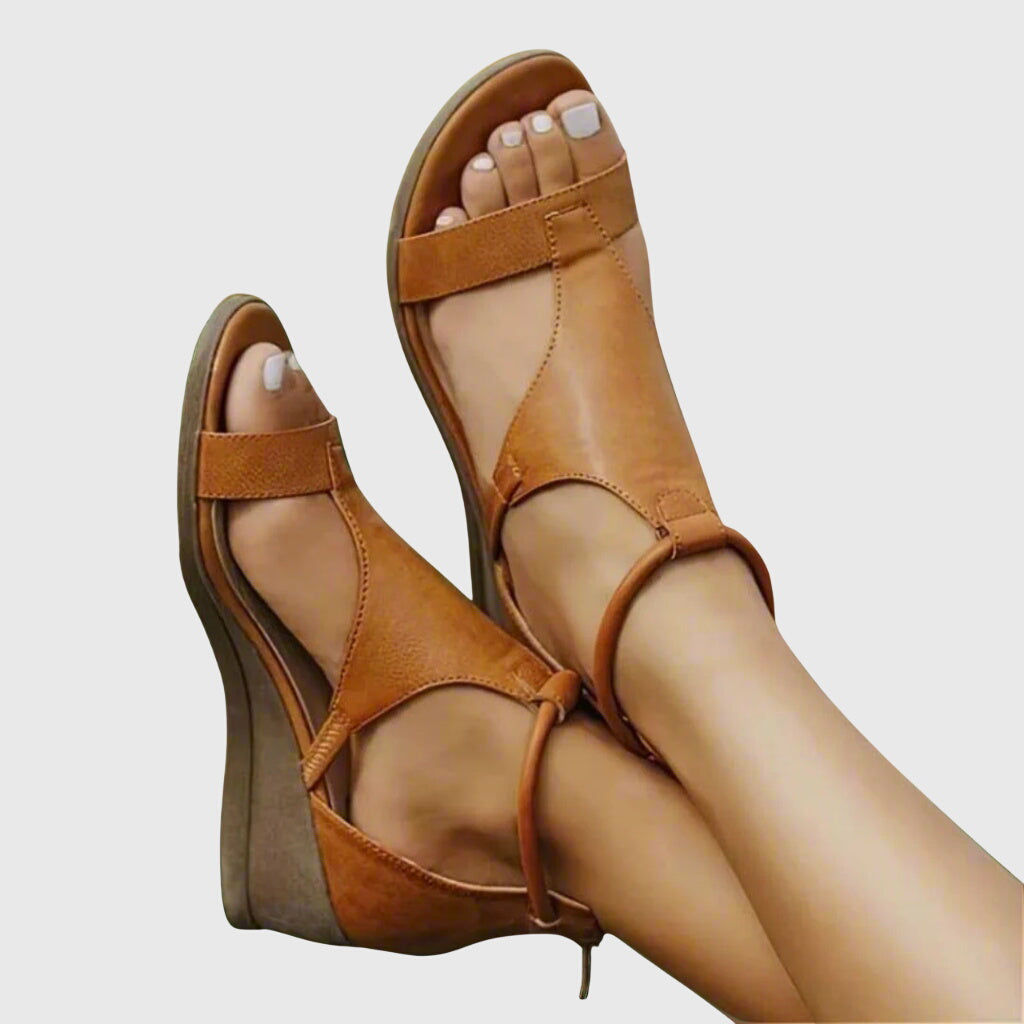 Brown / 4
