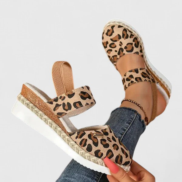 Leopard / 5