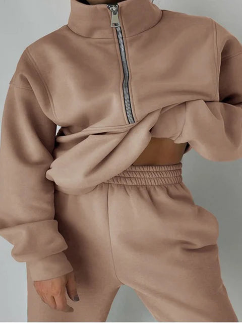 Camel / 3XL