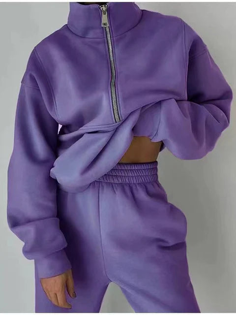Purple / 3XL