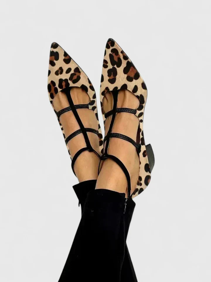 Leopard / 4