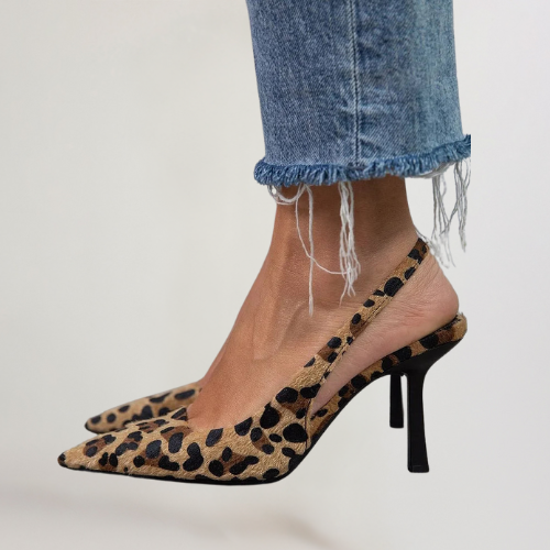 Leopard / 4