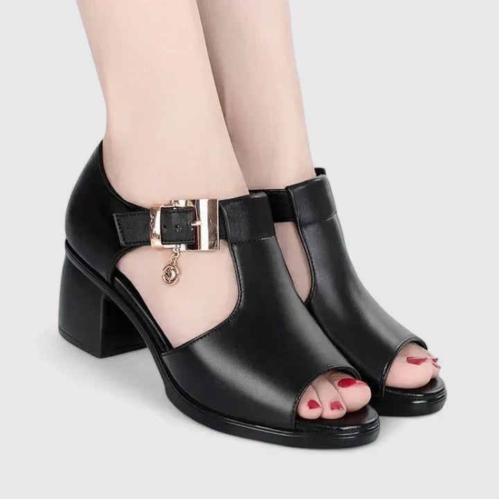 Black / 5