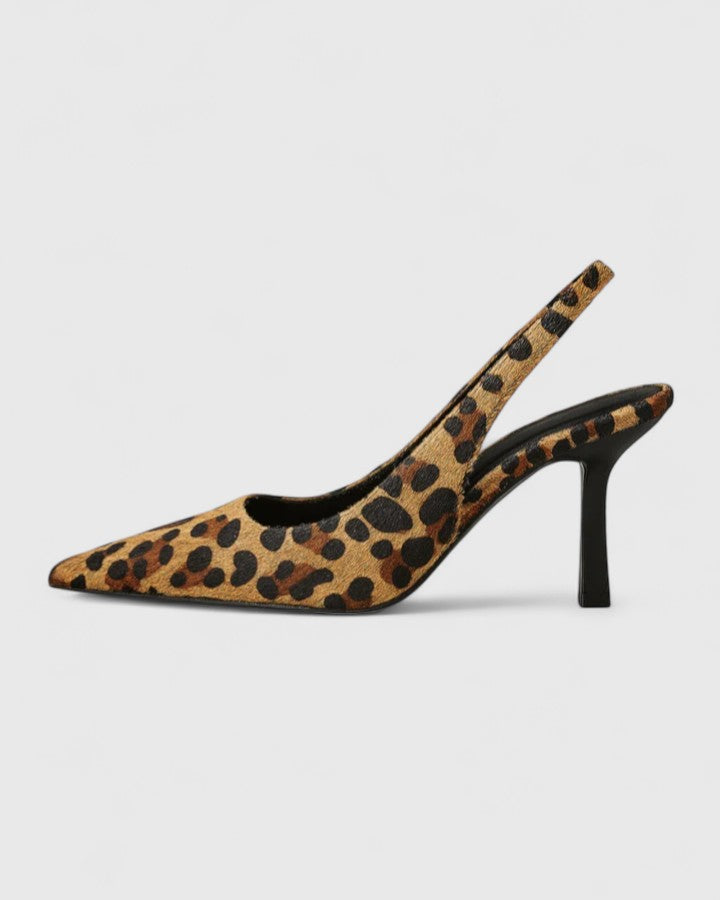 Leopard / 5