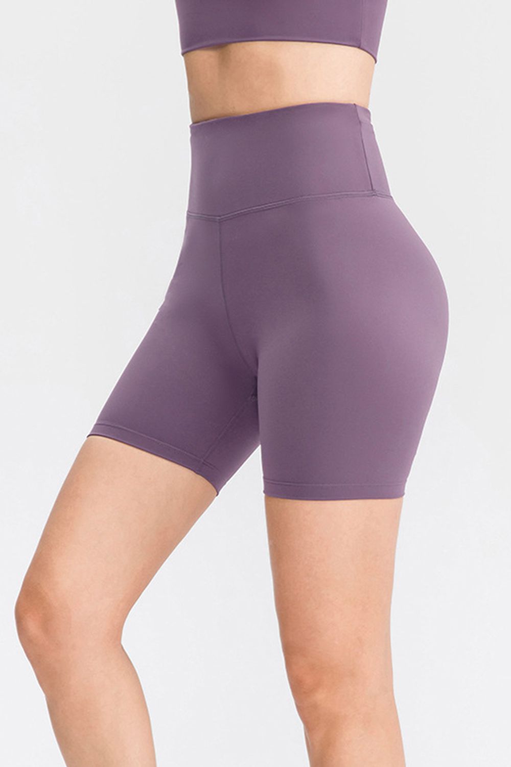 Dusty Purple / 3XL