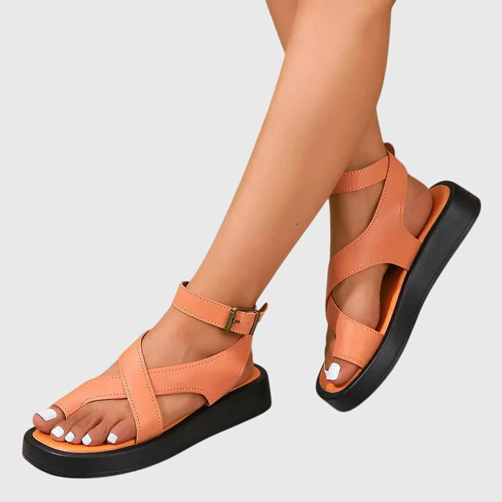 Orange / 5