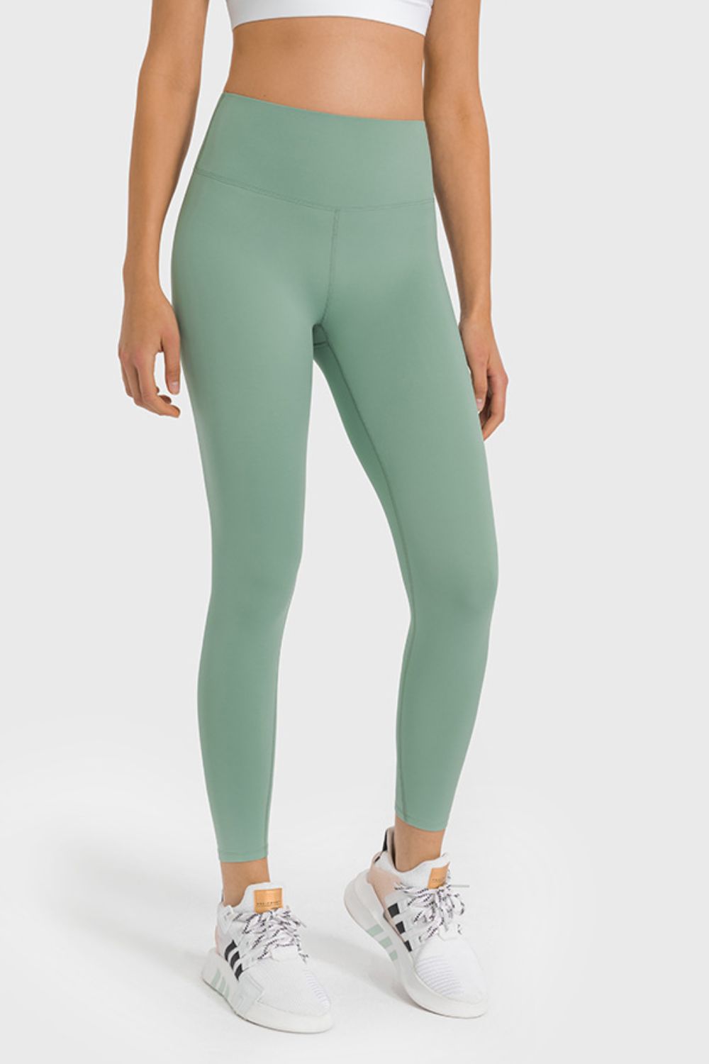 Green / 3XL